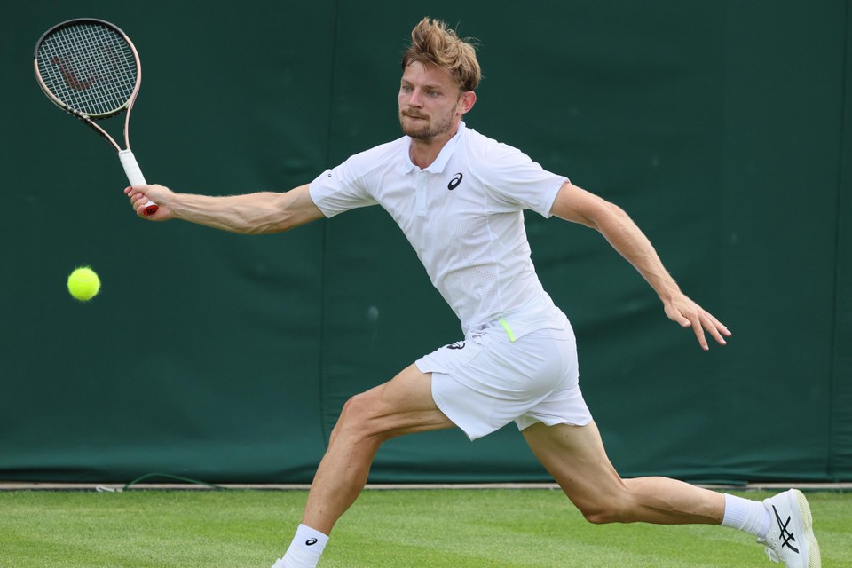 David Goffin. 