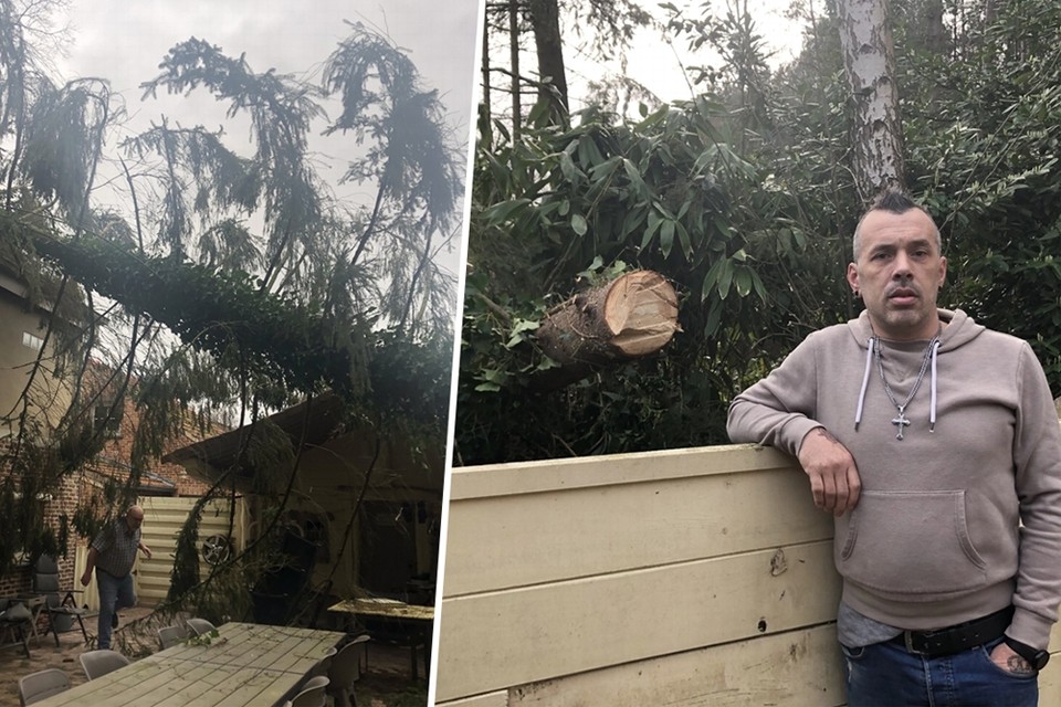 De zware boom werd omvergeblazen door storm Ciara en beschadigde het dak van Manuel Baekelmans. 