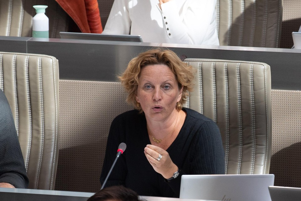Mieke Schauvliege heeft haar entree in het Vlaams Parlement niet gemist. 