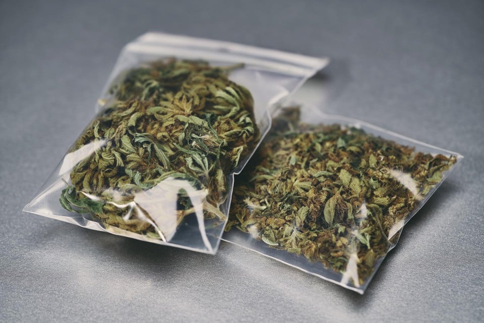 Police Brussels West bumps on kilos of cannabis in car full of children (remarkable)